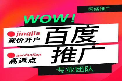 百度推广成功之路：从零到一的实战案例记录